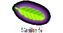 Seite 5