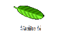 Seite 5