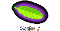 Seite 7