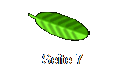 Seite 7