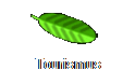 Tourismus